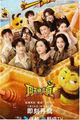 声音的褶皱综艺在线播放