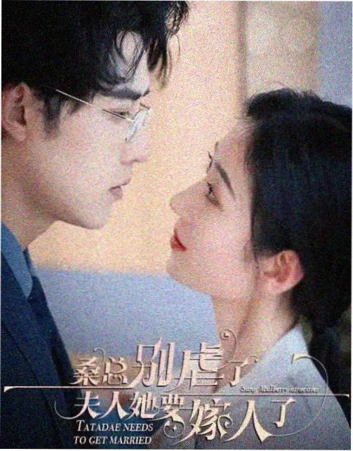半城烟雨古装剧在线观看